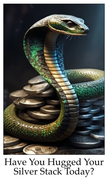 HaveYouHuggedSilver11