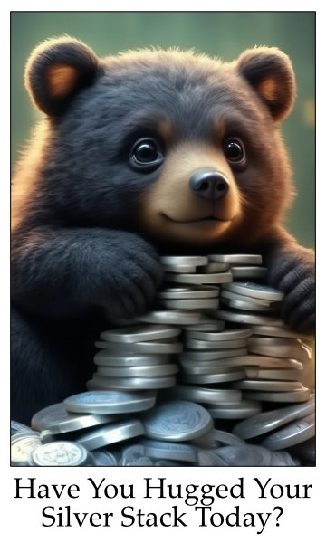 HaveYouHuggedSilver12