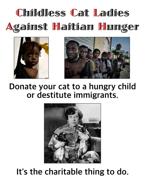 ChildlessCatLadiesAHH