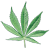 MarijuanaLeaf-bg