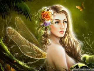 flower-fairies
