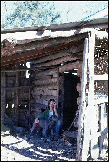 CleaningBarn